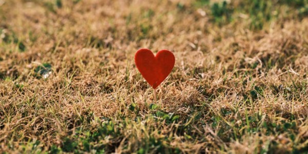 第一次——青春心跳的回聲