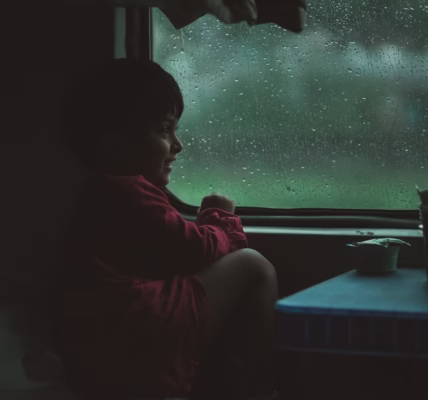 八代亞紀的眼淚語 八代亞紀的眼淚語