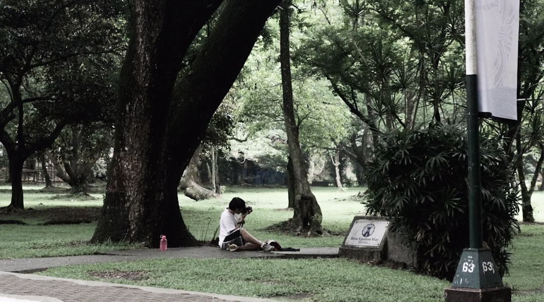 後來,我學會了遺憾 後來,我學會了遺憾