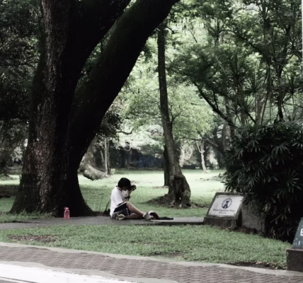 後來,我學會了遺憾 後來,我學會了遺憾