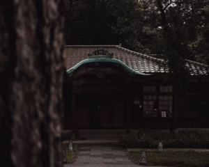 北の宿で聴いた涙の歌 北の宿で聴いた涙の歌