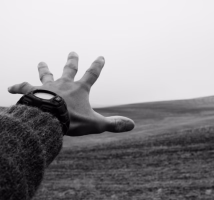 當抱怨遇見稻香的夜 當抱怨遇見稻香的夜