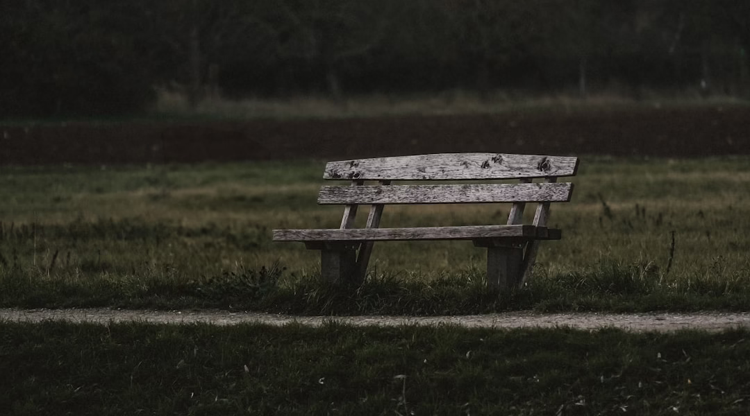 稻香里回归童年的我