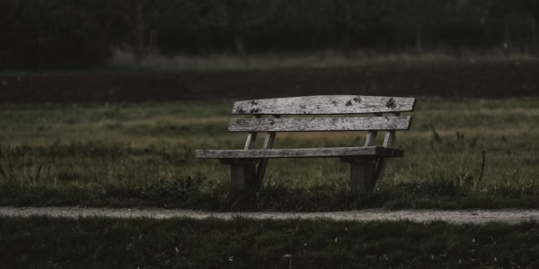 稻香里回归童年的我