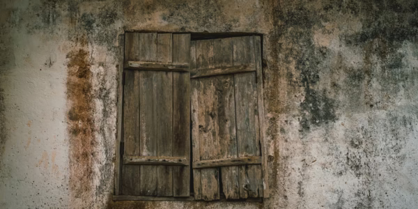 稻香裡的童年回憶