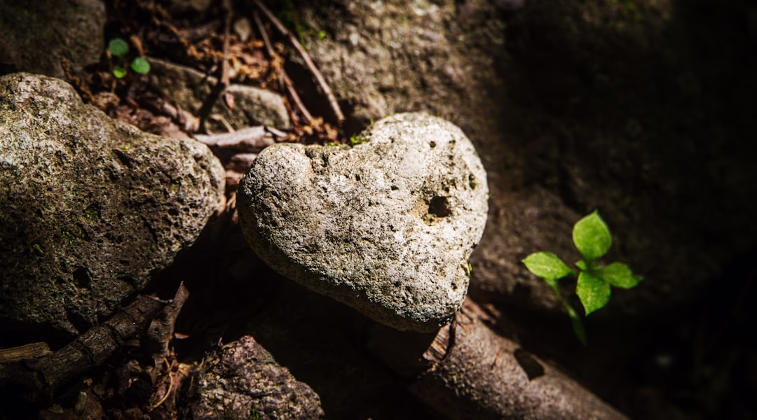 夜裡聽見《怎麼了》 夜裡聽見《怎麼了》