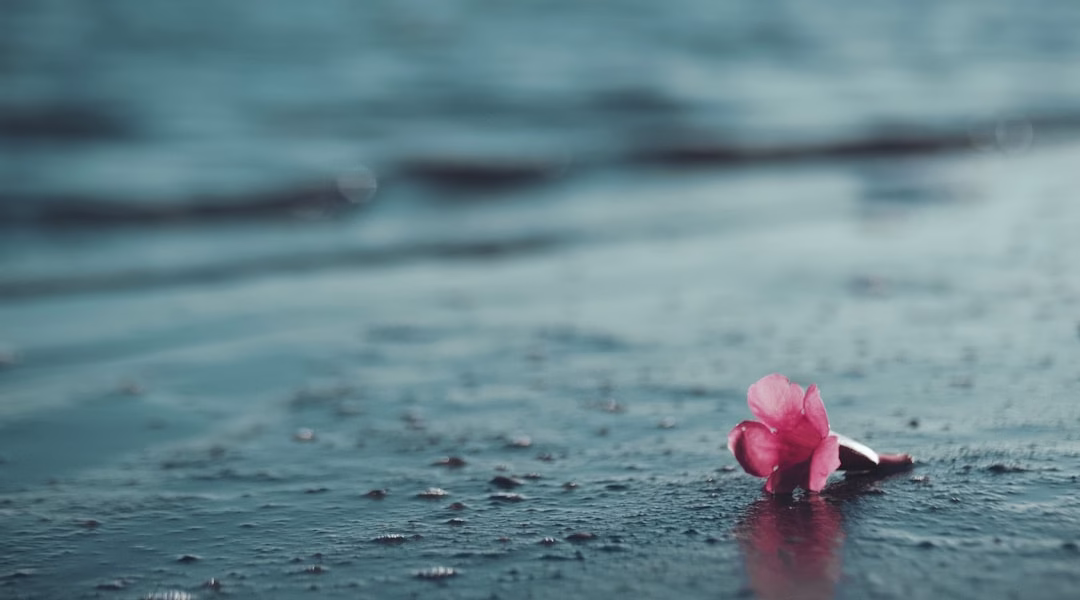 泪滴下的记忆 泪滴下的记忆