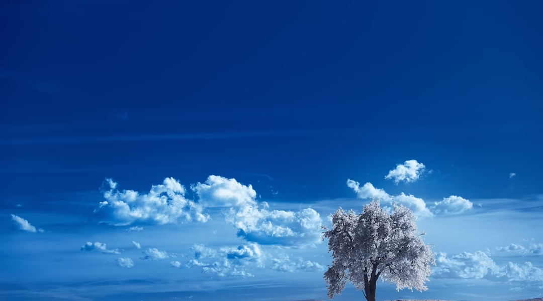 季節的歌，心中雨露