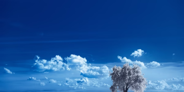 季節的歌，心中雨露