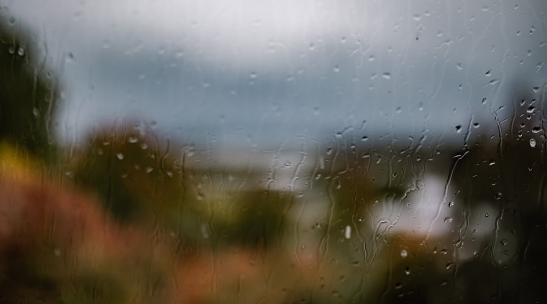 春風裡的花 春風裡的花