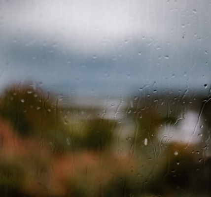 春風裡的花 春風裡的花