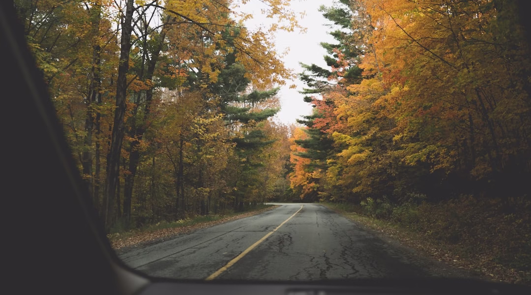 回家的路,心仍漂泊 回家的路,心仍漂泊