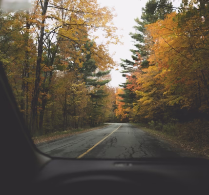 回家的路,心仍漂泊 回家的路,心仍漂泊