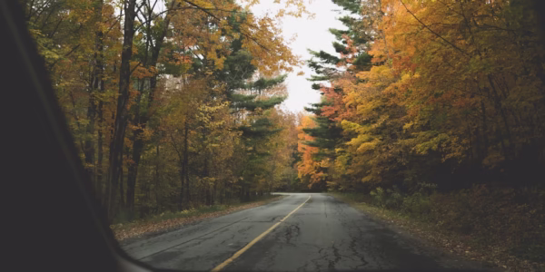 回家的路，心仍漂泊