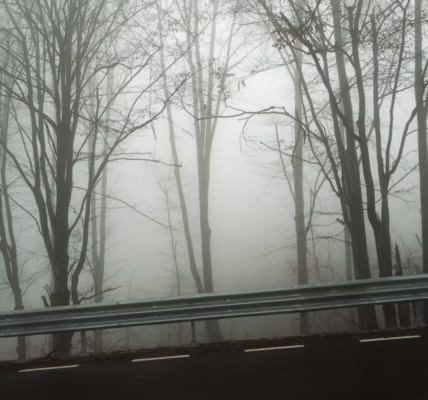 風中的海韻,心隨車行 風中的海韻,心隨車行