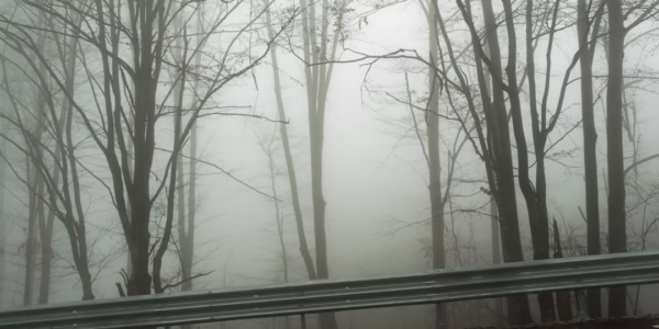 風中的海韻，心隨車行