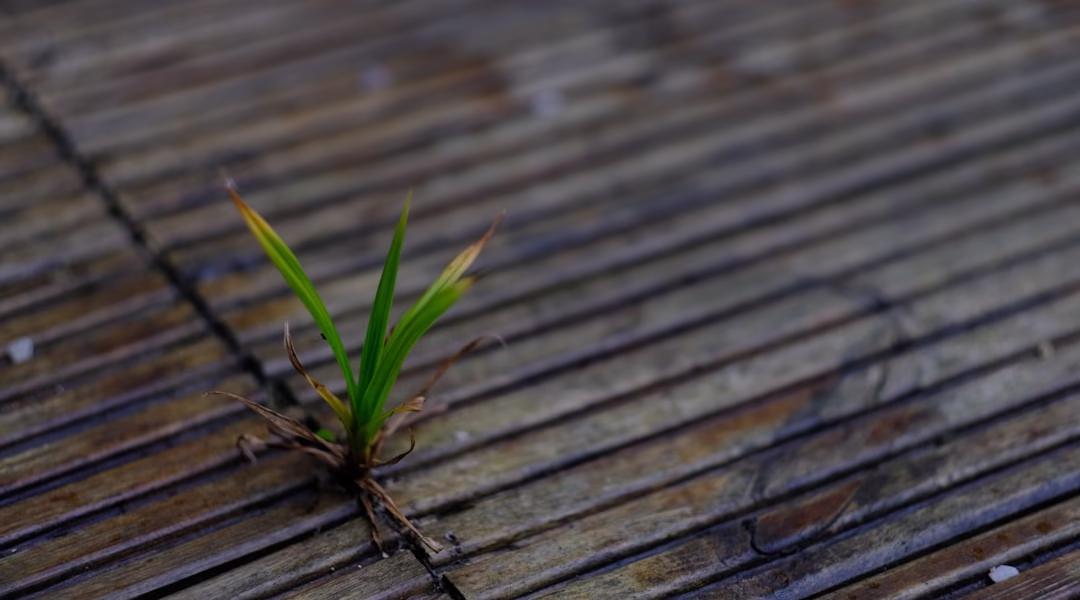 笑得像演员，我学会的成长