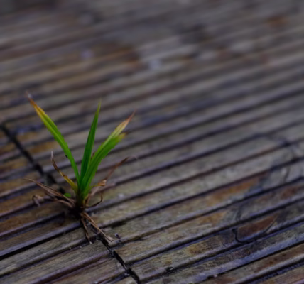 笑得像演员,我学会的成长 笑得像演员,我学会的成长