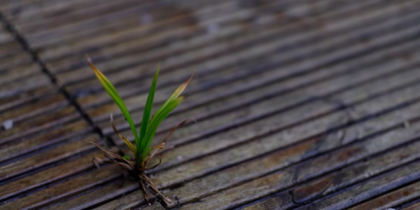 笑得像演员，我学会的成长