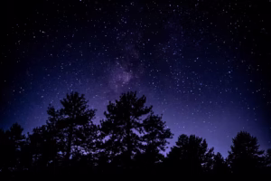 在星空下,听见未来的回响 在星空下,听见未来的回响