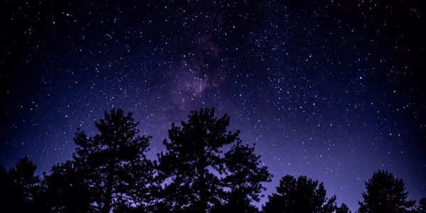 在星空下，听见未来的回响