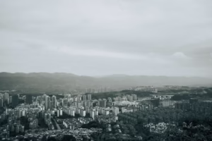 霓虹背後的稻田光 霓虹背後的稻田光