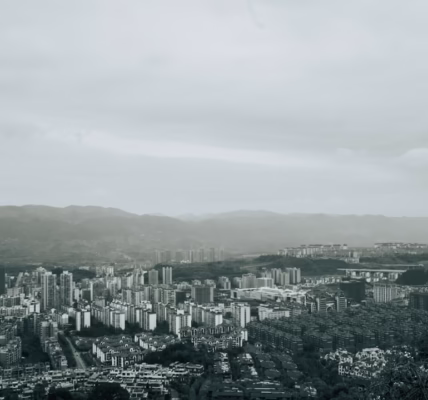 霓虹背後的稻田光 霓虹背後的稻田光