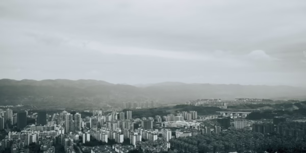 霓虹背後的稻田光