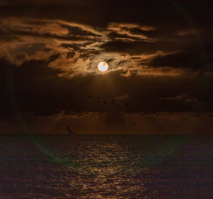 月光船上轻歌 月光船上轻歌