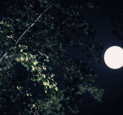 月光裡的靜默回音 月光裡的靜默回音