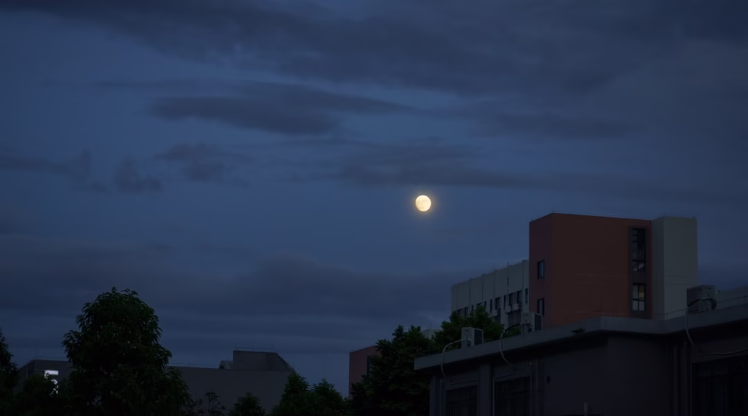 夜色裡的月光呼喚 夜色裡的月光呼喚