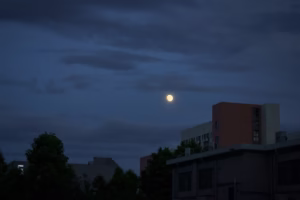 夜色裡的月光呼喚 夜色裡的月光呼喚