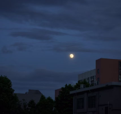 夜色裡的月光呼喚 夜色裡的月光呼喚