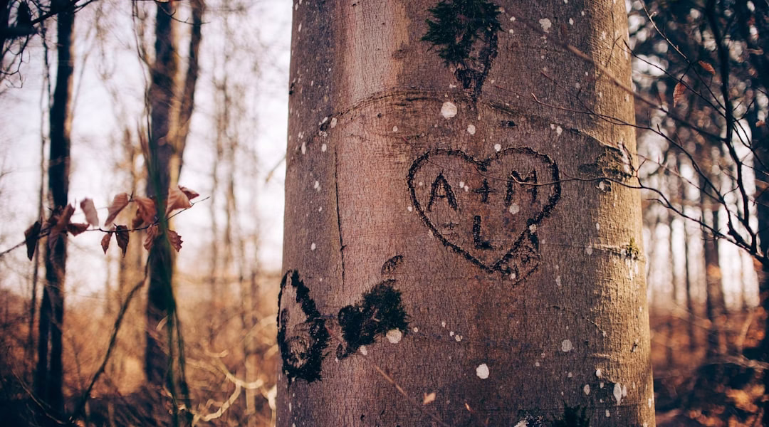 半夜哭泣的旋律