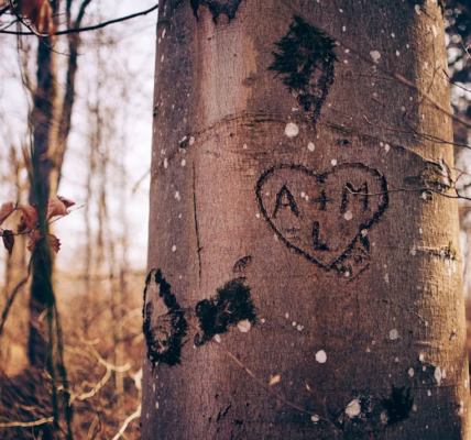 半夜哭泣的旋律 半夜哭泣的旋律