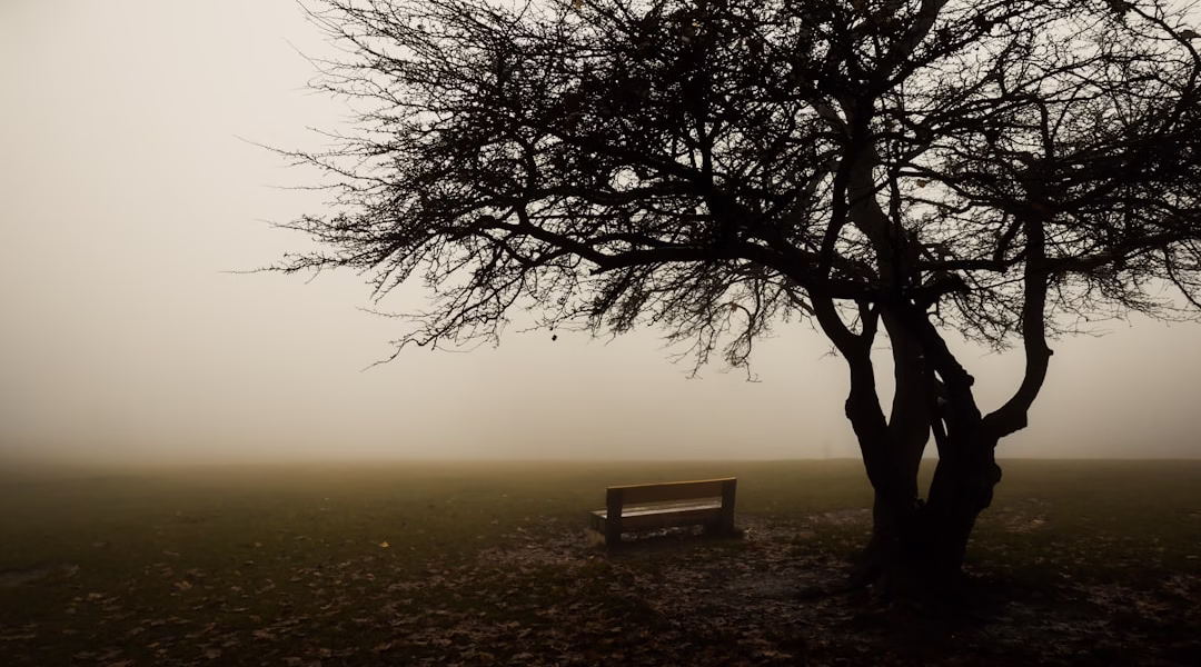 孤兒淚:遺忘與渴望 孤兒淚:遺忘與渴望