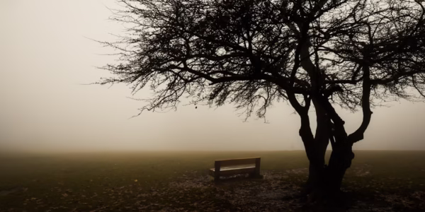 孤兒淚：遺忘與渴望