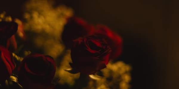 原諒的旋律在我耳邊回蕩