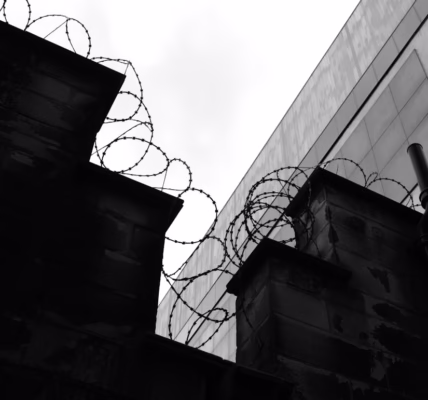 家,是我心的安全堡垒 家,是我心的安全堡垒