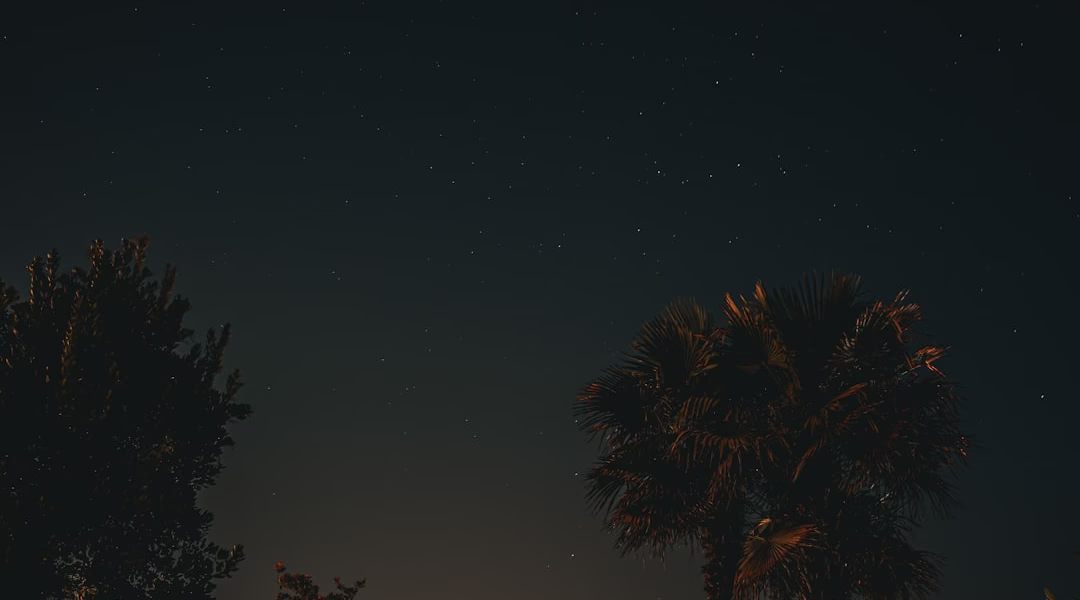 星光在黑夜裡低語