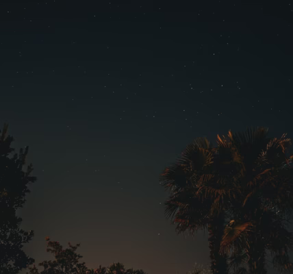 星光在黑夜裡低語 星光在黑夜裡低語