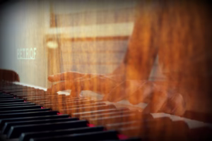 摇篮里的星光 摇篮里的星光