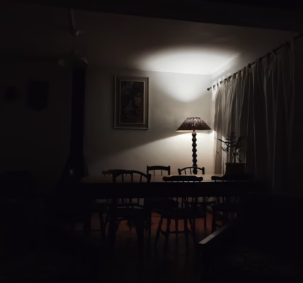 寂寞夜裡的你 寂寞夜裡的你