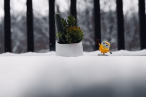 小地方的喜樂 小地方的喜樂