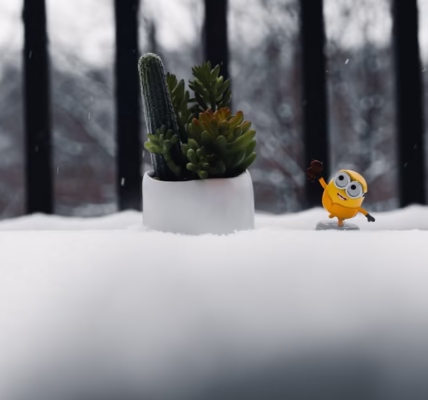 小地方的喜樂 小地方的喜樂