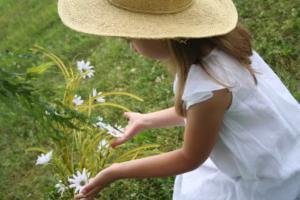 春風裡的童年回聲 春風裡的童年回聲
