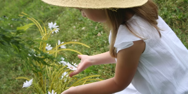 春風裡的童年回聲