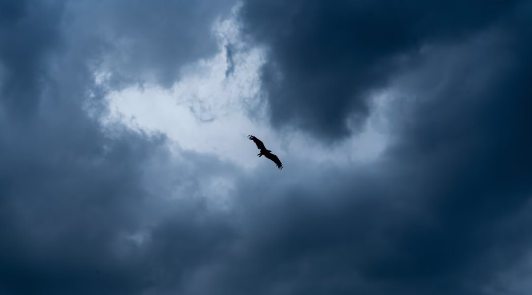 當翅膀帶我飛 當翅膀帶我飛