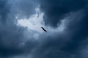 當翅膀帶我飛 當翅膀帶我飛