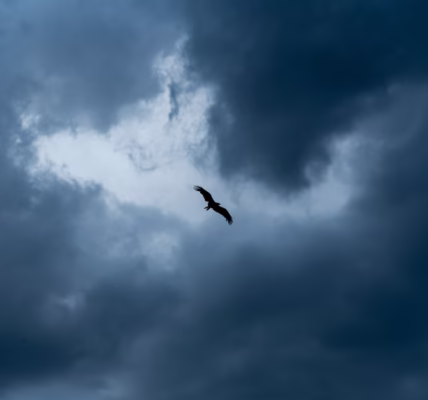 當翅膀帶我飛 當翅膀帶我飛